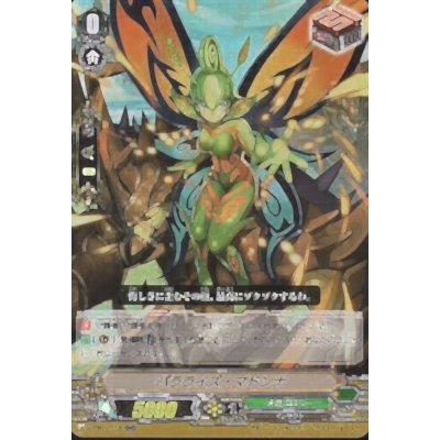 〔状態A-〕パラライズ・マドンナ【RR】{V-EB01/018}《メガコロニー》