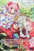 ハートを独り占めアネシュカ(金サイン)【SSP】{V-EB05/SSP09}《バミューダ△》