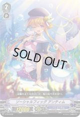 ソーシャルフィッグアンティム【PR】{V-PR/0132}《バミューダ△》