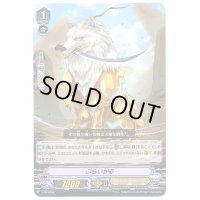 「RRR仕様」ぷらいがる【PR】{V-PR/0092}《ゴールドパラディン》