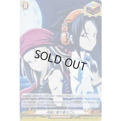 画像1: 月夜に寄り添う二人【PR】{D-PR/113}《SHAMANKING》