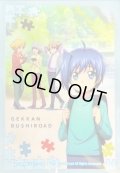 スリーブ『アイチ＆櫂＆伊吹＆三和小学生時代』53枚入り【-】{-}《サプライ》