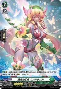 〔状態A-〕「H仕様」繊美の乙女カンデラリア【PR】{D-PR/251}《ストイケイア》