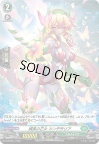 「H仕様」繊美の乙女カンデラリア【PR】{D-PR/251}《ストイケイア》