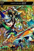 〔状態B〕忠勇無双たる蜀の名将趙雲【MSR】{D-TB06/MSR62}《モンスターストライク》