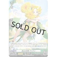 〔状態B〕「H仕様」真心の妖精ダリアン【PR】{D-PR/503}《ストイケイア》