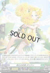 〔状態B〕「H仕様」真心の妖精ダリアン【PR】{D-PR/503}《ストイケイア》