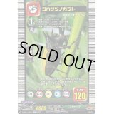 〔状態A-〕ゴホンヅノカブト【EX】{D-BT11/EX07}《ストイケイア》