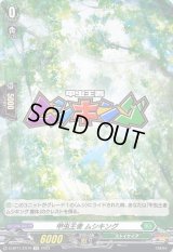 甲虫王者ムシキング【EX】{D-BT11/EX10}《ストイケイア》