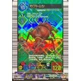 〔状態A-〕カブトムシ【PR】{D-PR/565}《ストイケイア》