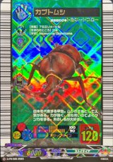 〔状態A-〕カブトムシ【PR】{D-PR/565}《ストイケイア》