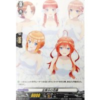 五等分の花嫁 【PR】{D-PR/573}《その他》