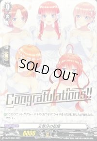 五等分の花嫁 【PR】{D-PR/656}《その他》
