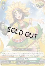 〔状態A-〕憧憬の乙女アラナ【PR】{D-PR/750}《ストイケイア》