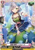 清適の歌姫ショルシーナ【PR】{D-PR/836}《リリカルモナステリオ》