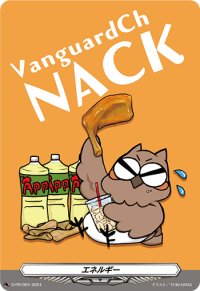〔状態B〕エネルギー(NACK)【PR】{D-PR/904}《その他》