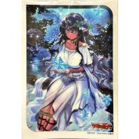 〔状態A-〕スリーブ『水照の魔導姫ルーテシア(Vol.729)』70枚入り【-】{-}《サプライ》