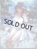 〔状態A-〕デッキケース『水照の魔導姫ルーテシア』【-】{-}《サプライ》