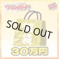 〔予約販売〕★VG30万円福袋★【福袋】{￥300,000}