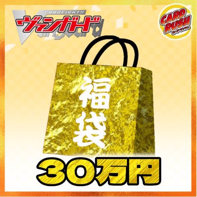 画像1: 〔予約販売〕★VG30万円福袋★【福袋】{￥300,000}