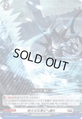 〔状態B〕悠久なる凍土へ還れ【PR】{D-PR/1130}《ブラントゲート》