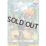 大満足の収穫ラビリット【PR】{D-PR/1170}《ストイケイア》