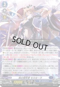 知の探究者セルセーラ【PR】{D-PR/1120}《ダークステイツ》