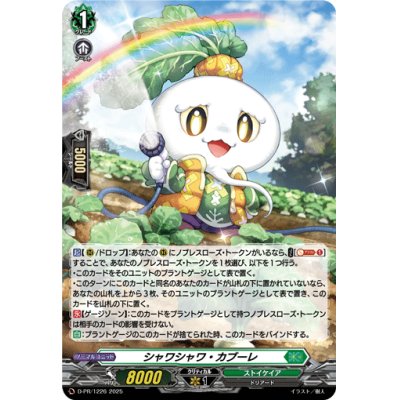画像1: 〔状態A-〕「H仕様」シャワシャワ・カブーレ【PR】{D-PR/1226}《ストイケイア》