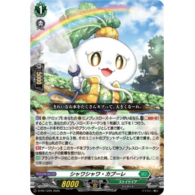 画像1: シャワシャワ・カブーレ【PR】{D-PR/1225}《ストイケイア》
