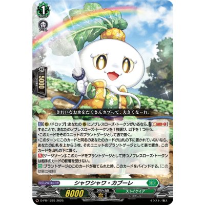 〔状態A-〕シャワシャワ・カブーレ【PR】{D-PR/1225}《ストイケイア》