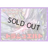 ダークステイツ(ドラジュエルド)【ver1.4】{-}《デッキ販売》