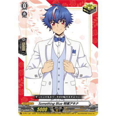 画像1: SomethingBlue明導アキナ【PR】{D-PR/1327}《その他》