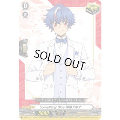画像1: 〔状態A-〕SomethingBlue明導アキナ【PR】{D-PR/1327}《その他》