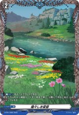 〔状態A-〕瑞々しき変容【PR】{D-PR/1368}《その他》