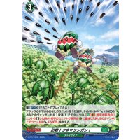 「H仕様」必殺！タネマシンガン！【PR】{D-PR/1399}《ストイケイア》