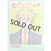 〔状態A-〕スリーブ『ミゲル・トルレス』53枚入り【-】{-}《サプライ》