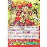 〔状態A-〕夢紡ぐラナンキュラスアーシャ【PR】{PR/0496}《ネオネクタール》