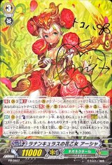 ラナンキュラスの花乙女アーシャ【PR】{PR/0407}《ネオネクタール》