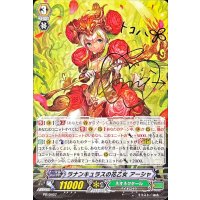 ラナンキュラスの花乙女アーシャ【PR】{PR/0407}《ネオネクタール》