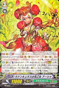 ラナンキュラスの花乙女アーシャ【PR】{PR/0407}《ネオネクタール》