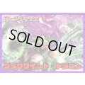 ダークステイツ(グラウワインド・ドラゴン)【ver1.0】{-}《デッキ販売》
