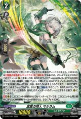 〔状態A-〕「H仕様」葉風の狩人マルラム【PR】{D-PR/1494}《ストイケイア》