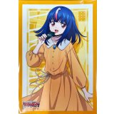 スリーブ『明導ヒカリ(DZ-SS12)』53枚入り【-】{-}《サプライ》