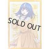 〔状態A-〕スリーブ『明導ヒカリ(DZ-SS12)』53枚入り【-】{-}《サプライ》