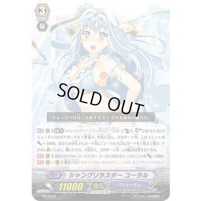 画像1: 〔状態B〕シャングリラスターコーラル【PR】{PR/0239}《バミューダ△》