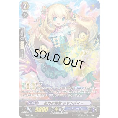 画像1: 「箔押し」努力の賜物シャンディー【PR】{PR/0745}《バミューダ△》