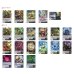 画像2: ダークステイツ(アルティサリア幻影)【ver1.0】{-}《デッキ販売》 (2)
