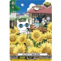 どこヴァン！ねお2026【PR】{D-PR/1758}《その他》