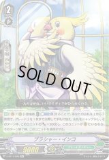 〔状態A-〕ブラシャー・インコ【RR】{V-BT11/026}《グレートネイチャー》