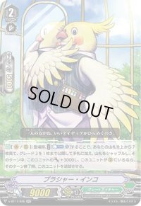 〔状態A-〕ブラシャー・インコ【RR】{V-BT11/026}《グレートネイチャー》